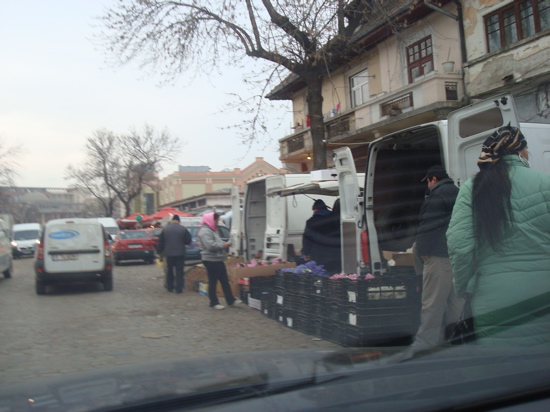 Piata de flori Cosbuc 2