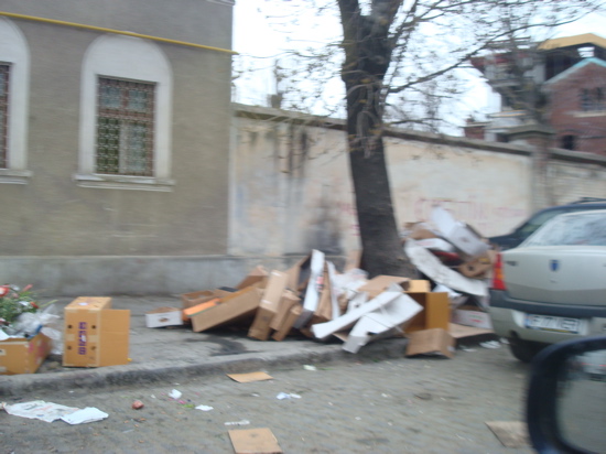 Piata de flori Cosbuc 3