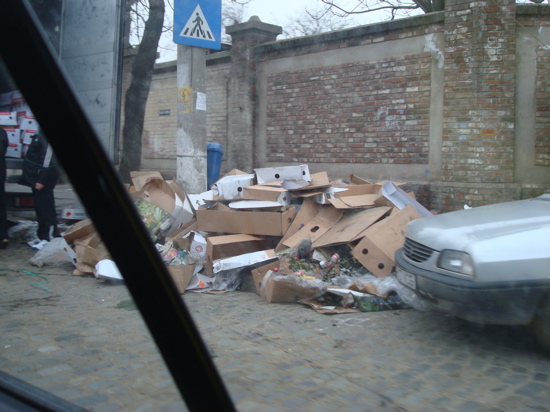 Piata de flori Cosbuc 6