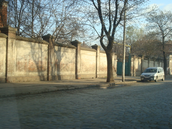 Piata de flori Cosbuc curat