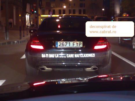 Bot mare de la Brasov