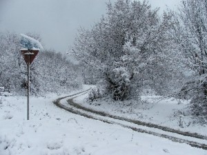 iarna-2008