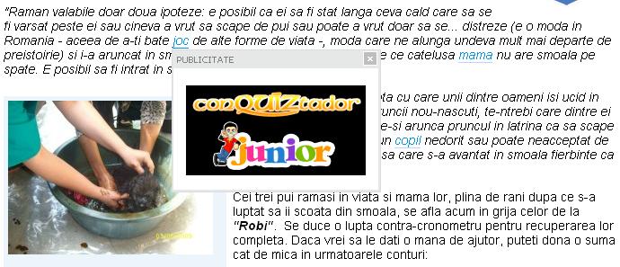 publicitate-on-line publicitate-on-line