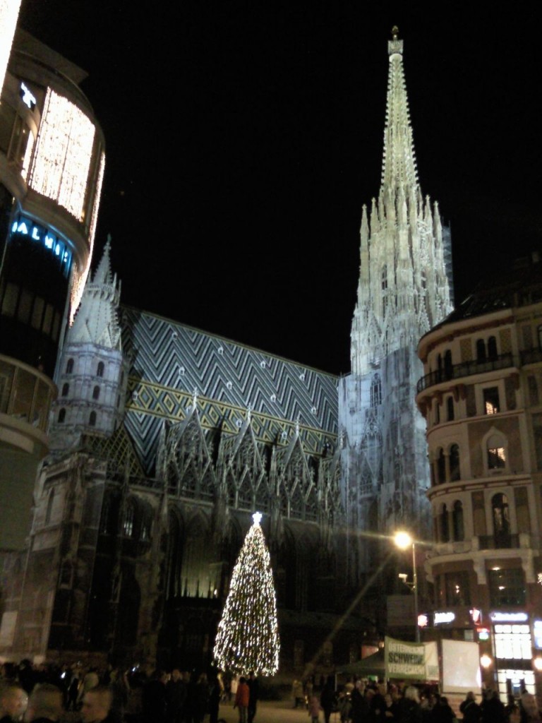 Viena nov 2009 Domul