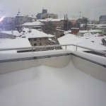 Andra Ardeleanu 2 Andra Ardeleanu 2