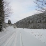 Helindean Alina 1 Helindean Alina 1