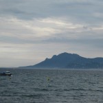 IMG_0542