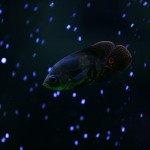 fishy-fishy (15)