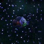 fishy-fishy (18)