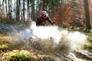 quad