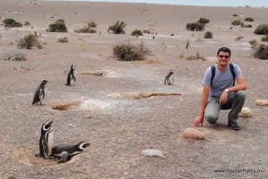 Punta Tombo