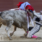 taur versus prost