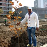 Cabral Ibacka plantare copac 1 Cabral Ibacka plantare copac 1